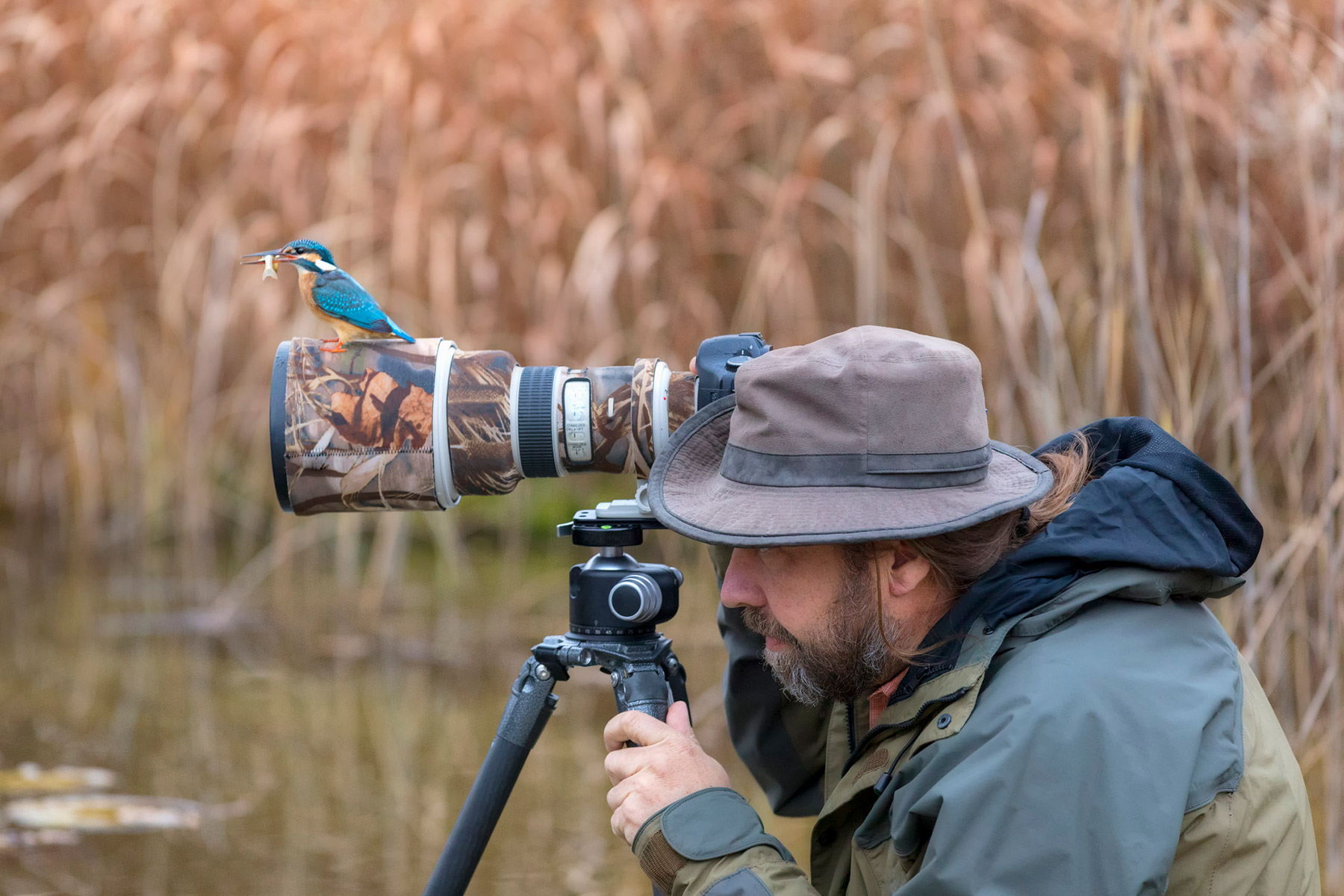 nature and macro photography