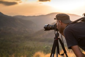 nature and macro photography